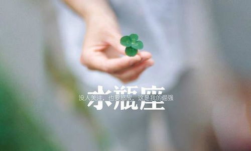 哪些星座表面上凶你，实则内心真心实意喜欢你？