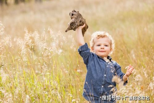 三较大技巧让你轻巧松拿下男宝宝较小名称号