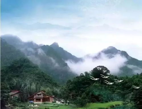 川龙瀑布的月光派对