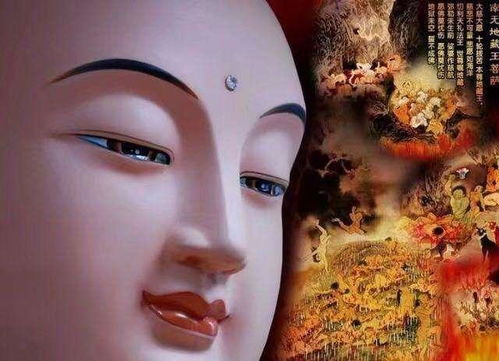 解脱：生肖羊的逆袭与风水转运