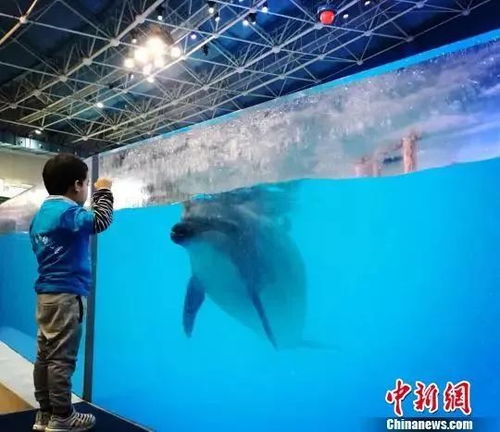 5. 今后蓝图：从观赏性场所到科普基地