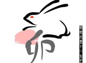 属猪和属兔的姻缘财运如何？转运招财兔的含义是什么？