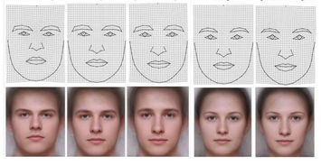 额头：你的智商显示器还是疾病预警器？