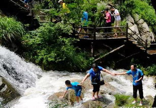 溪口风景区：人肉三明治制造基地