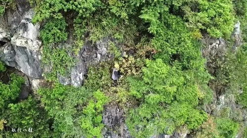 山上的风水宝地,航拍山上的风水地