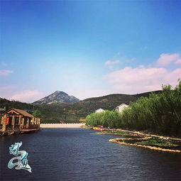 金湖湿地：蚊子们的狂欢派对