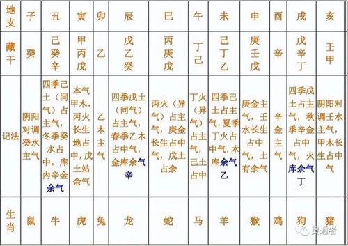 怎么把这玩意儿搬进客厅？实战指南（随意乱写版）