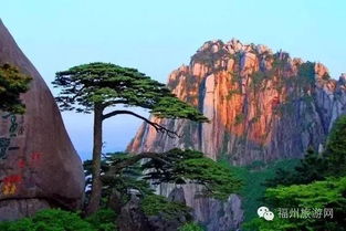 噪音与信号的博弈