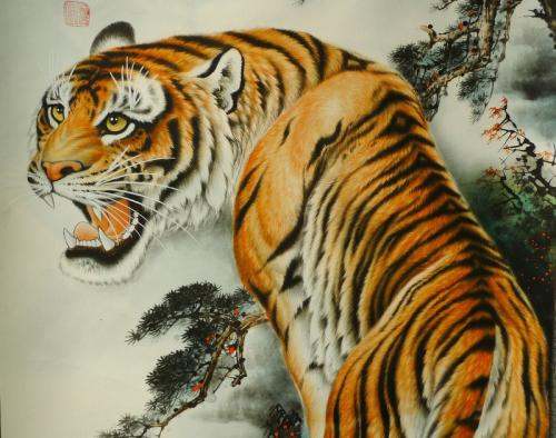 上山虎命是什么意思？上山虎和下山虎出生时辰分别是什么？