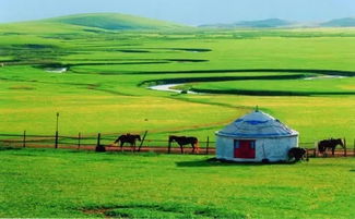 蒙古草原：你以为的自由都是假的