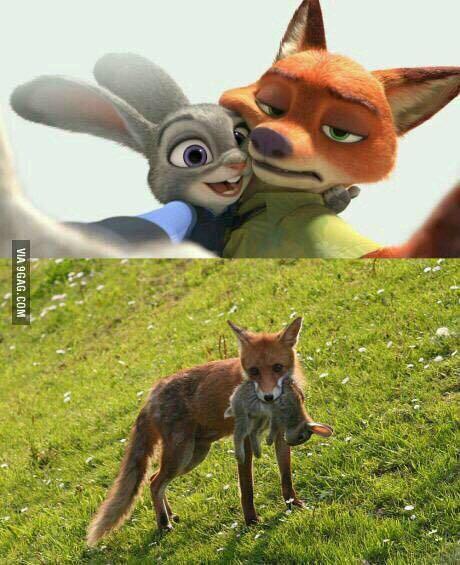 一、生肖视角：谁最会骗小朋友？