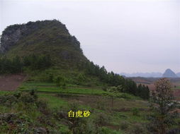 宜州南蛇山风水墓地，如何判断其风水布局是否适宜？