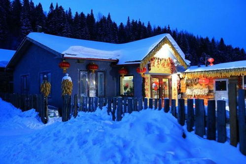一、雪乡新奇体验项目全景速递