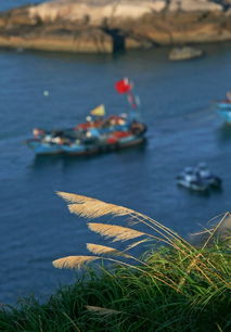 意外收获：除了鱼还能玩什么？