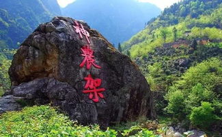 四、 神农架：远古森林里的保密测试室