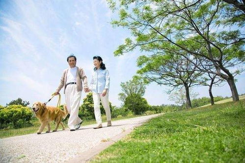一心明家长研习社：普通中的不普通