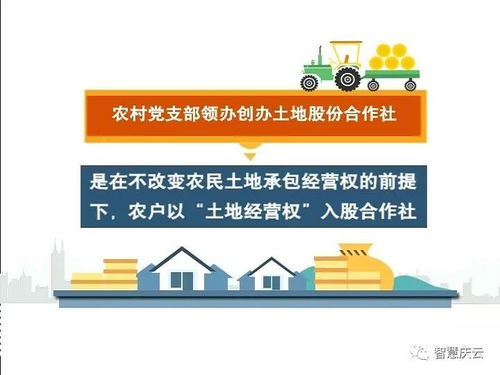 三、水命人的性格特质与职业匹配：静水较深流的哲学思想解读