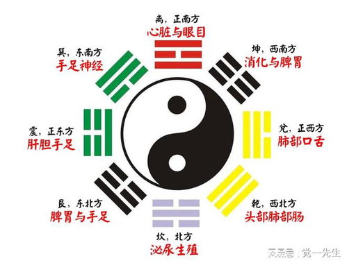 东方震宫：事业和工作岗位的吉星方位
