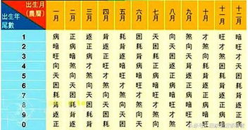 八字中横财运如何体现，哪个五行代表意外之财？