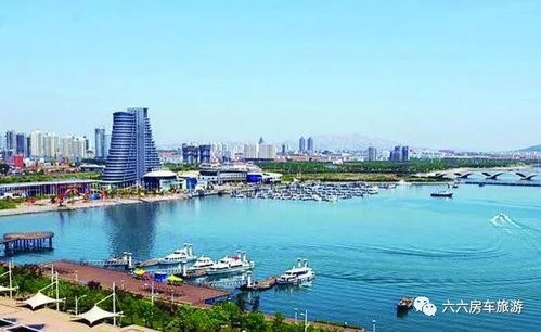 赶海装备清单：必备工具