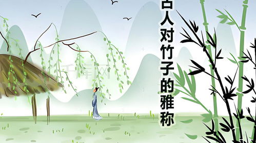 为哪些非要用竹字头呢？