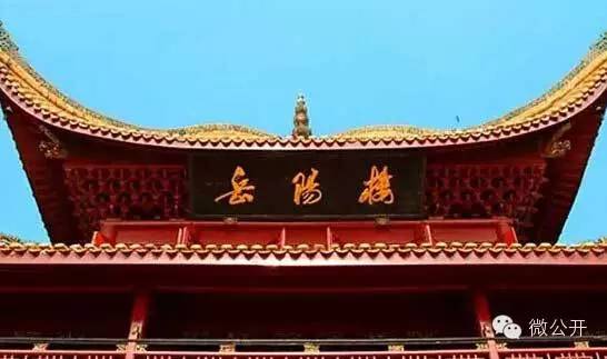 免费！免费！这可是真的免费！