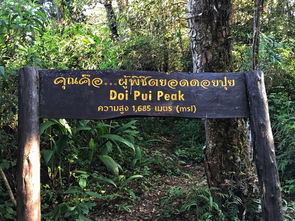 噪音警报：咖啡渍+尘土+鸟叫