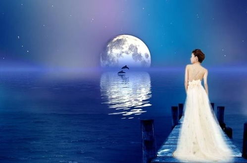 月光下的断桥， 见证爱情的永恒