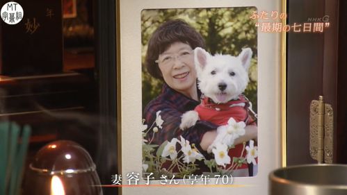 春风吹啊吹，吹得人想哭又想笑