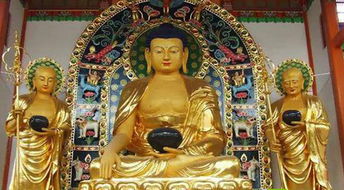 午门外不斩首 (真实相较大揭秘!)