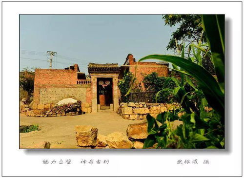 学剪纸？还是手忙脚乱？