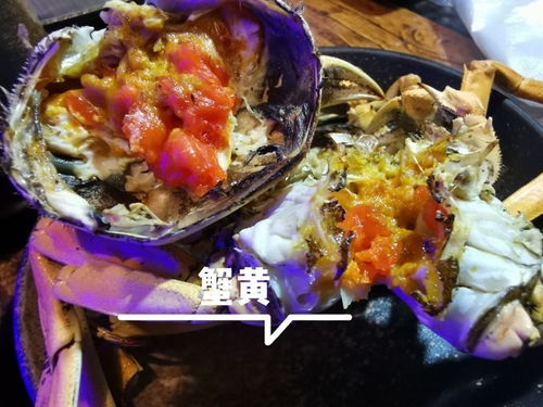 达濠美食， 等你来探索