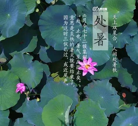 处暑秋韵，风俗盛行，秋意渐浓爆款来袭！