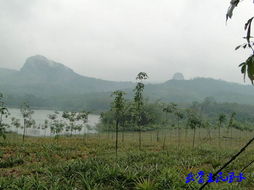 海南十大风水宝地,海南环境风水大师排名