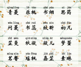 星座与名字的浪漫邂逅