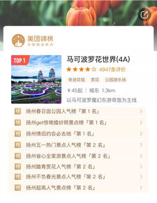 花海里的神秘现象