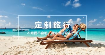 2. 专业团队服务