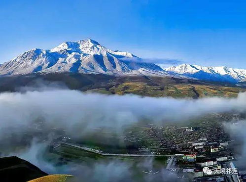 2）突遇暴风雪——生存技能测试