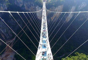 那个让人魂牵梦绕又摸不着头脑的问题：惠州双月湾玻璃桥2023年5月全新开放了吗？