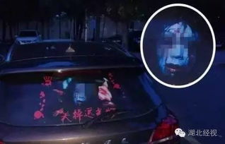 风水的异动
