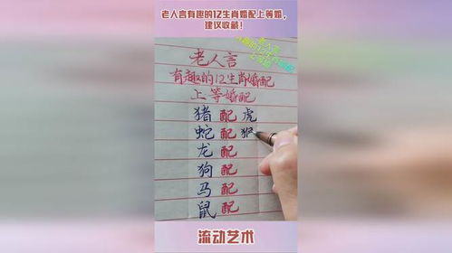 十二生肖婚姻配对中的老人言具体指的是哪些生肖之间的婚姻关系？