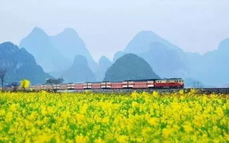 初见渼陂：一场意外的相遇