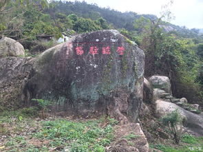 2）开放时间段与门票市场价格