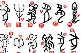 属虎陶姓女孩取名，用旺字是否能为她带来好运？