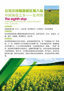 金普新区：3000斤亩产背后的“反常识”种植术