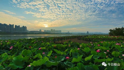 4. 生态民宿：回归天然的生活体验