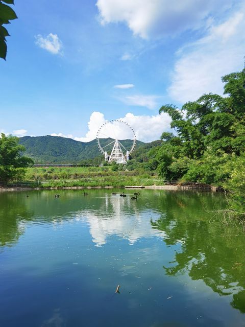 惯与望天湖的历史和一些无聊的背景