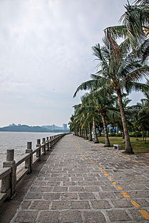 港湾大道鸡山附近的神秘海滩