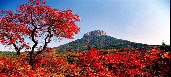 第三站:韶关丹霞山——自然与历史共舞之地