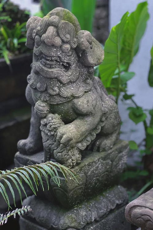 狮子在风水中的象征意义,狮子在风水中的寓意